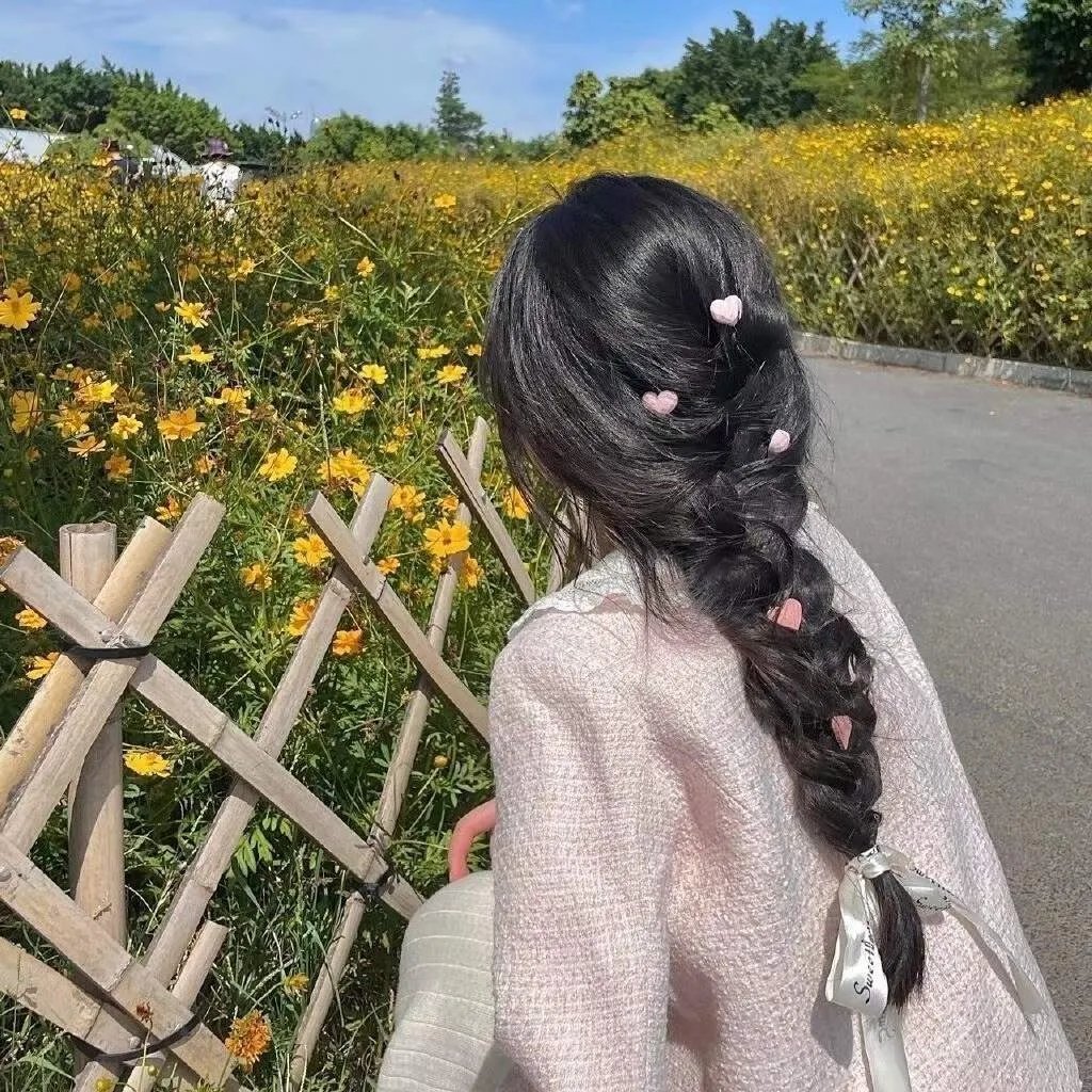哈莉·奎茵第五季
